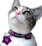 Адресники для собак кошек на ошейник с гравировкой Медальон для животных со стразами кость маленькая